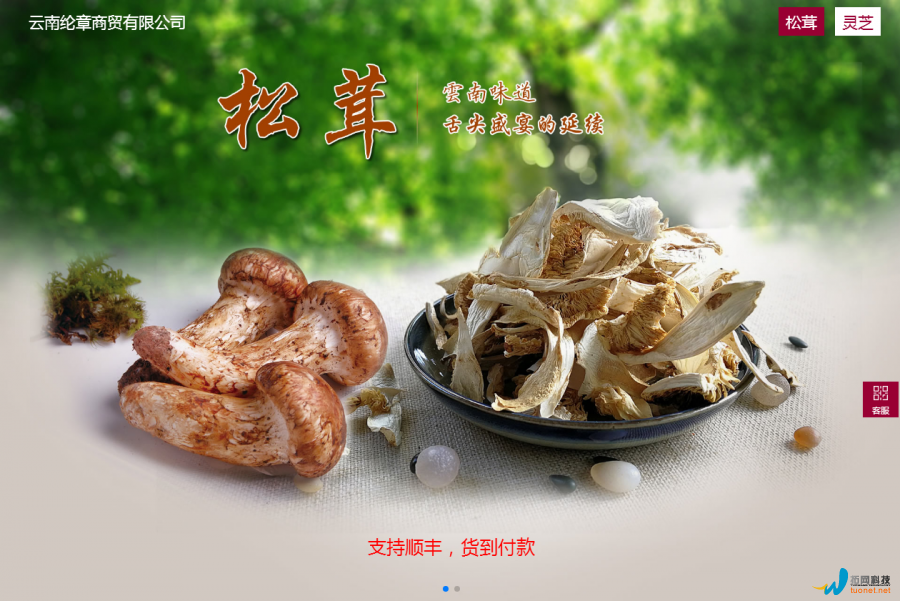 云南纶章商贸有限公司