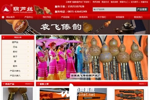 云南袁飞傣韵葫芦丝厂