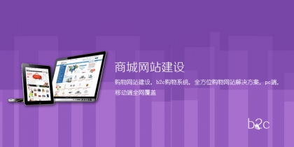 商城网站建设-B2C购物网站建设